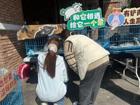 探访日记丨“护猫行动”线下探访圆满完成