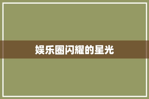 娱乐圈闪耀的星光