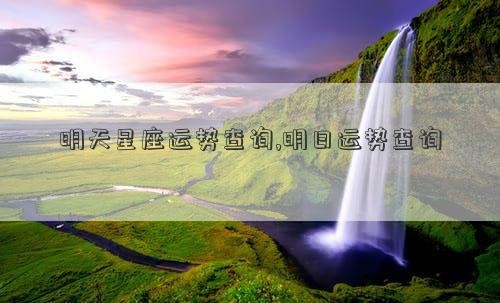 明天星座运势查询,明日运势查询