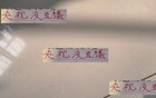 石锤！央视不直播了 可惜无法看到申花四国脚 在大屏幕表现