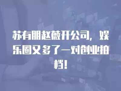 苏有朋赵薇开公司，娱乐圈又多了一对创业拍档！