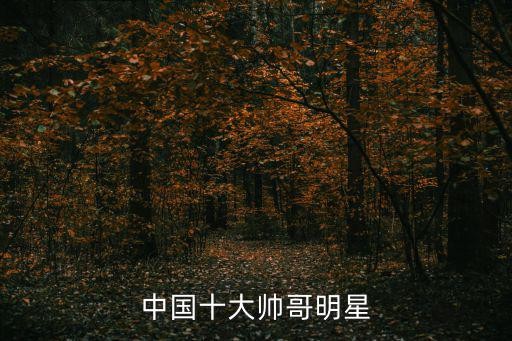 中国男明星排行榜，中国十大帅哥明星