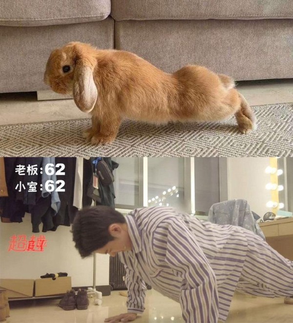肖战做65个俯卧撑上热搜，首次挑战话剧受好评，热度仍然很高