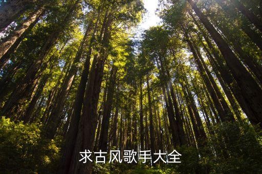 求古风歌手大全