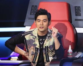 搜狐娱乐明星吃瓜,明星们的美食冒险与趣味瞬间