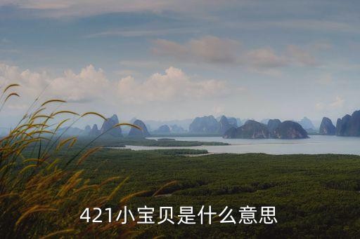 421小宝贝是什么意思