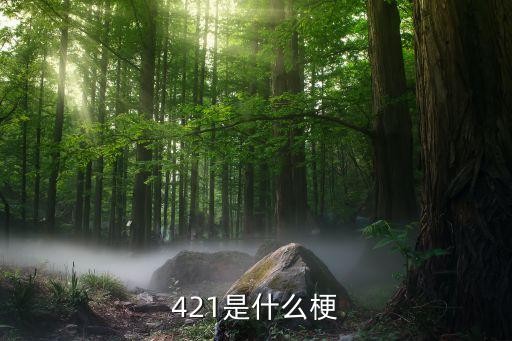 421是什么梗