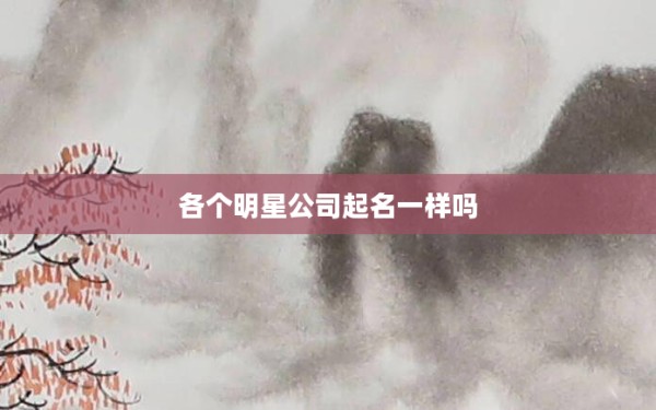 各个明星公司起名一样吗