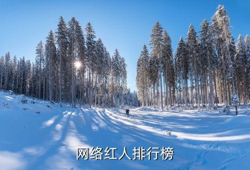 网络红人排行榜