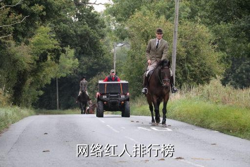 网红排名，网络红人排行榜