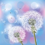 年会视频制作