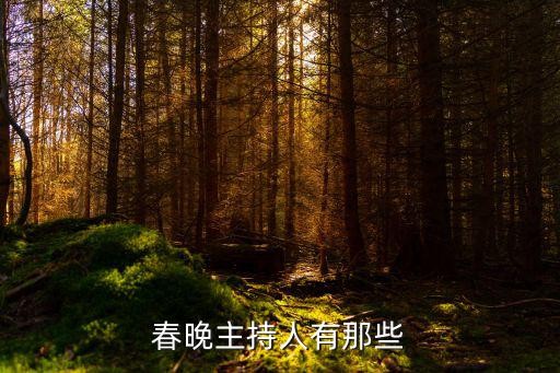 春晚主持人有那些
