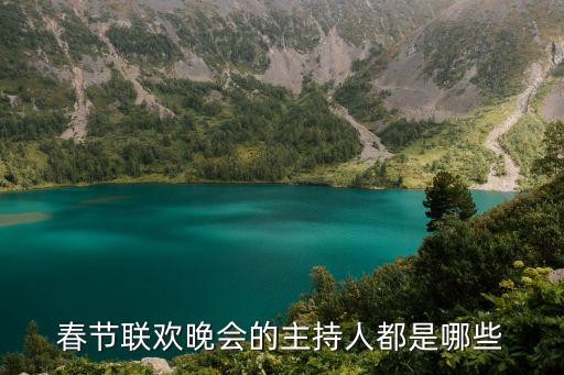 春节联欢晚会的主持人都是哪些