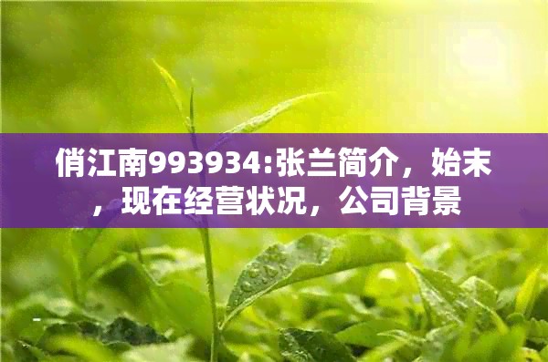 俏江南993934:张兰简介，始末，现在经营状况，公司背景