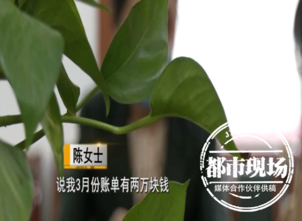 “追星”追进“坑”！13岁女孩加入粉丝群被骗近22万元