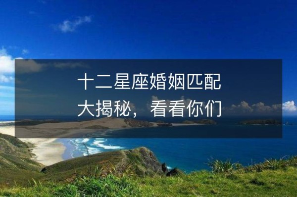 十二星座婚姻匹配大揭秘，看看你们克不克