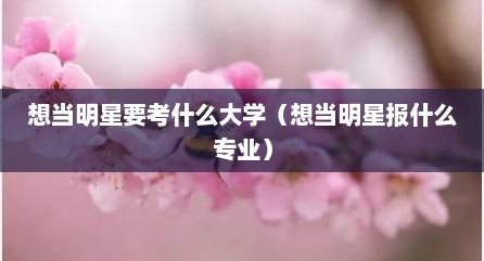 想当明星要考什么大学（想当明星报什么专业）