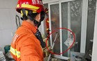高温+蛇患！顺义两户人家出现长蛇，消防员1天抓2条