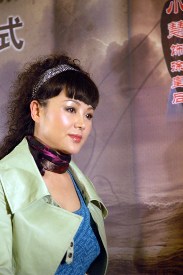 何赛飞最经典十部电视剧：荧幕经典回顾与角色深度解析