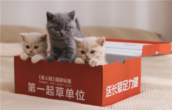 足力健 “猫代言” 破圈：一场跨越代际的情感与科技共振