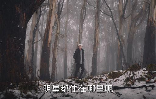 明星都住在哪里呢