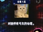 娱乐八卦吃瓜网站在线观看视频,热门八卦视频大揭秘