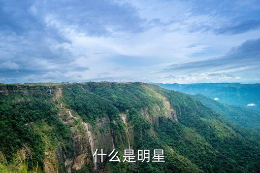 什么是明星