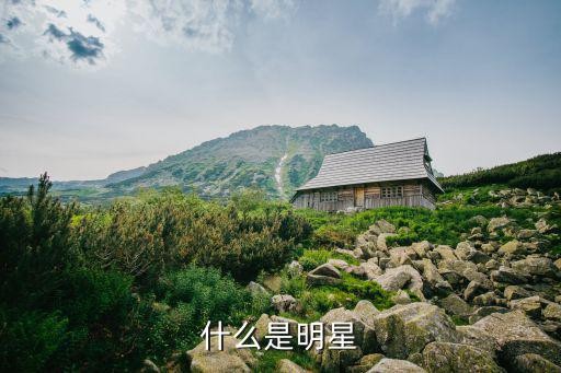 什么是明星