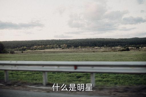 是什么明星，什么是明星