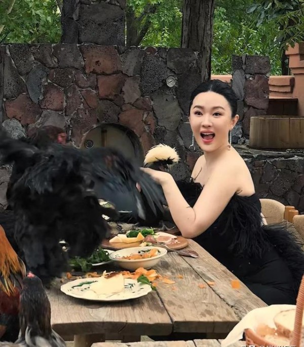 惊呆了！霍思燕携几十只动物拍杂志，鸡飞狗跳好震撼，女神太美了