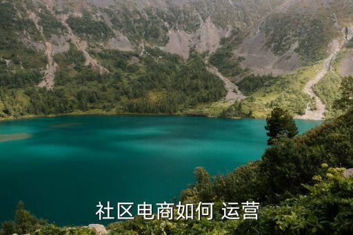  社区电商如何 运营