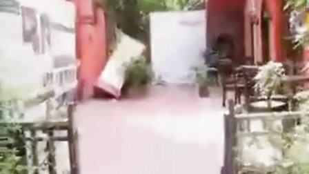 林炳欣主演 唯美爱情励志短剧