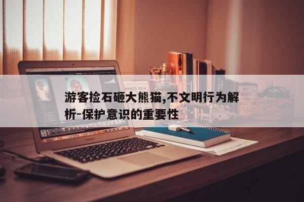 游客捡石砸大熊猫,不文明行为解析-保护意识的重要性