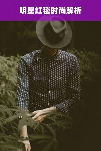 明星红毯时尚解析