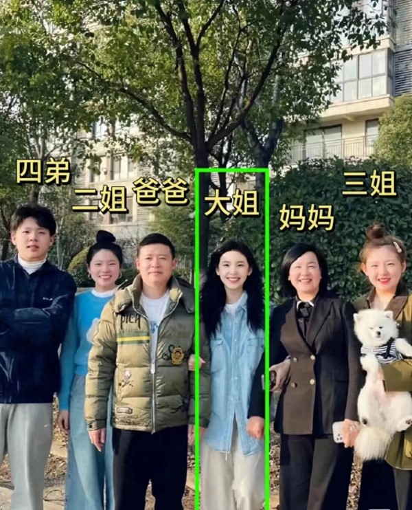 从网红到顶流！这几位明星的逆袭之路，比电视剧还精彩！