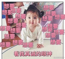 娱乐吃瓜酱想自由,吃瓜群众视角下的热点事件与幕后真相