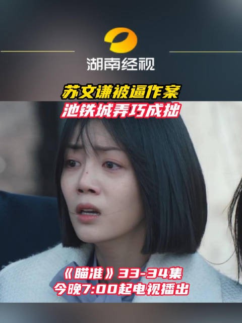 苏文谦被逼作案,池铁城弄巧成拙