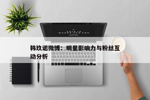 韩玖诺微博：明星影响力与粉丝互动分析
