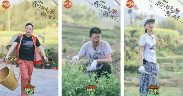 飞行嘉宾关联性、话题性、平台性显著，综艺最大变量如何变增量！