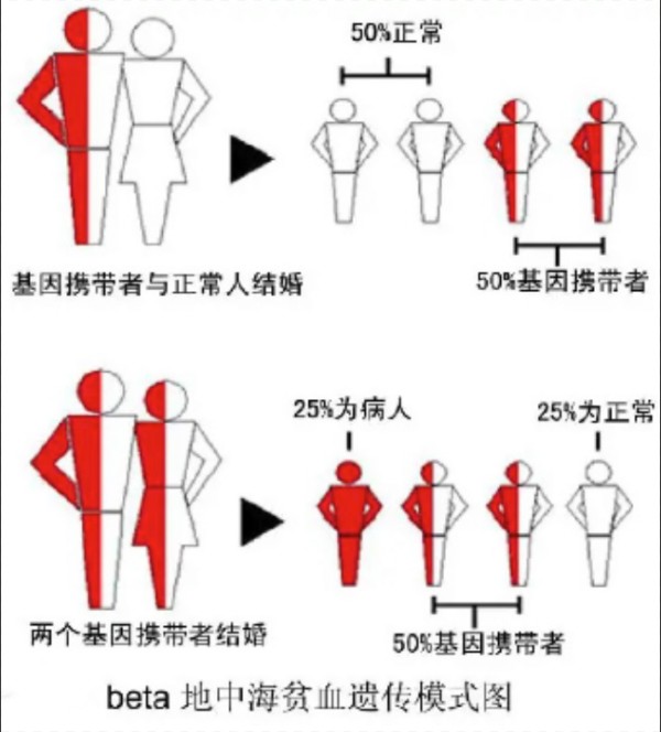 图示, 形状, 箭头描述已自动生成