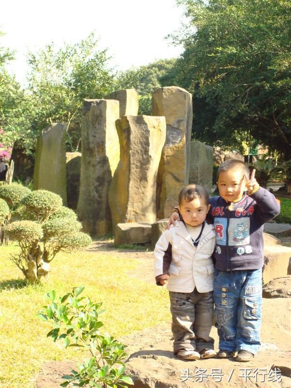 最让人动容的四大兄弟情谊诗句