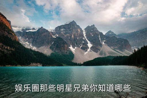 娱乐圈那些明星兄弟你知道哪些