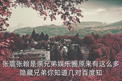 张震张翰是亲兄弟娱乐圈原来有这么多隐藏兄弟你知道几对百度知