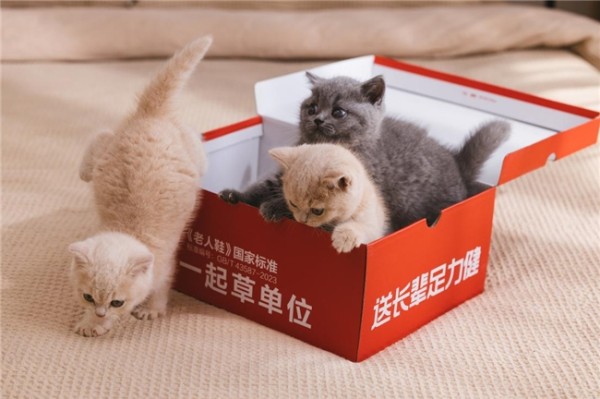 足力健“萌猫代言”破圈：用「猫系美学」重塑银发经济创新范式
