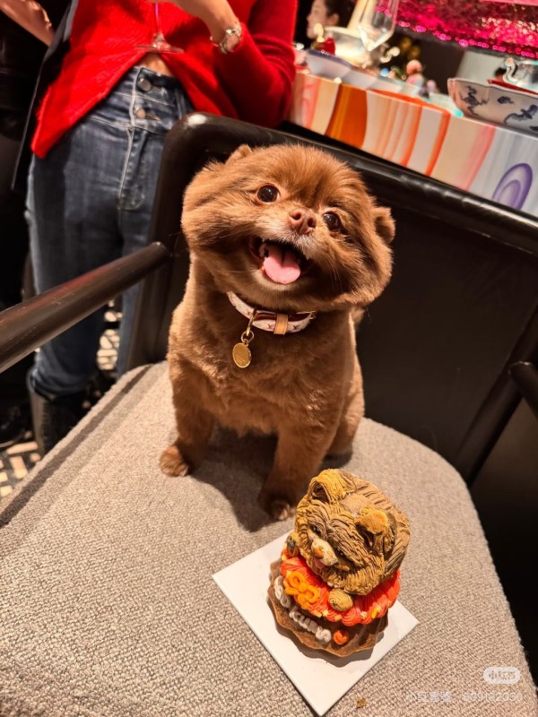 小Kuma生日快乐！