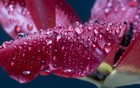 雷电、大风、冰雹，强对流齐上阵！请注意防范！