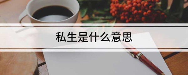 私生是什么意思