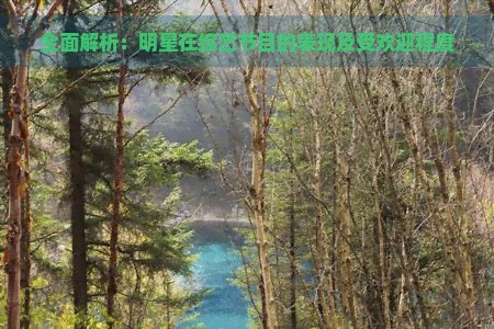 全面解析：明星在综艺节目的表现及受欢迎程度