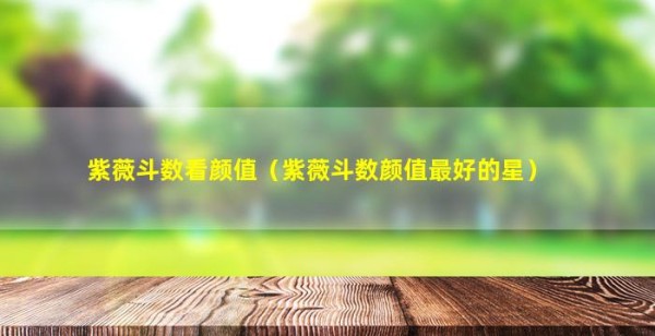 紫薇斗数看颜值（紫薇斗数颜值最好的星）