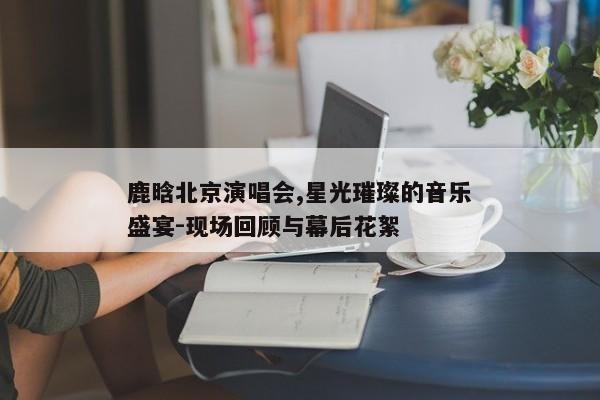 鹿晗北京演唱会,星光璀璨的音乐盛宴
